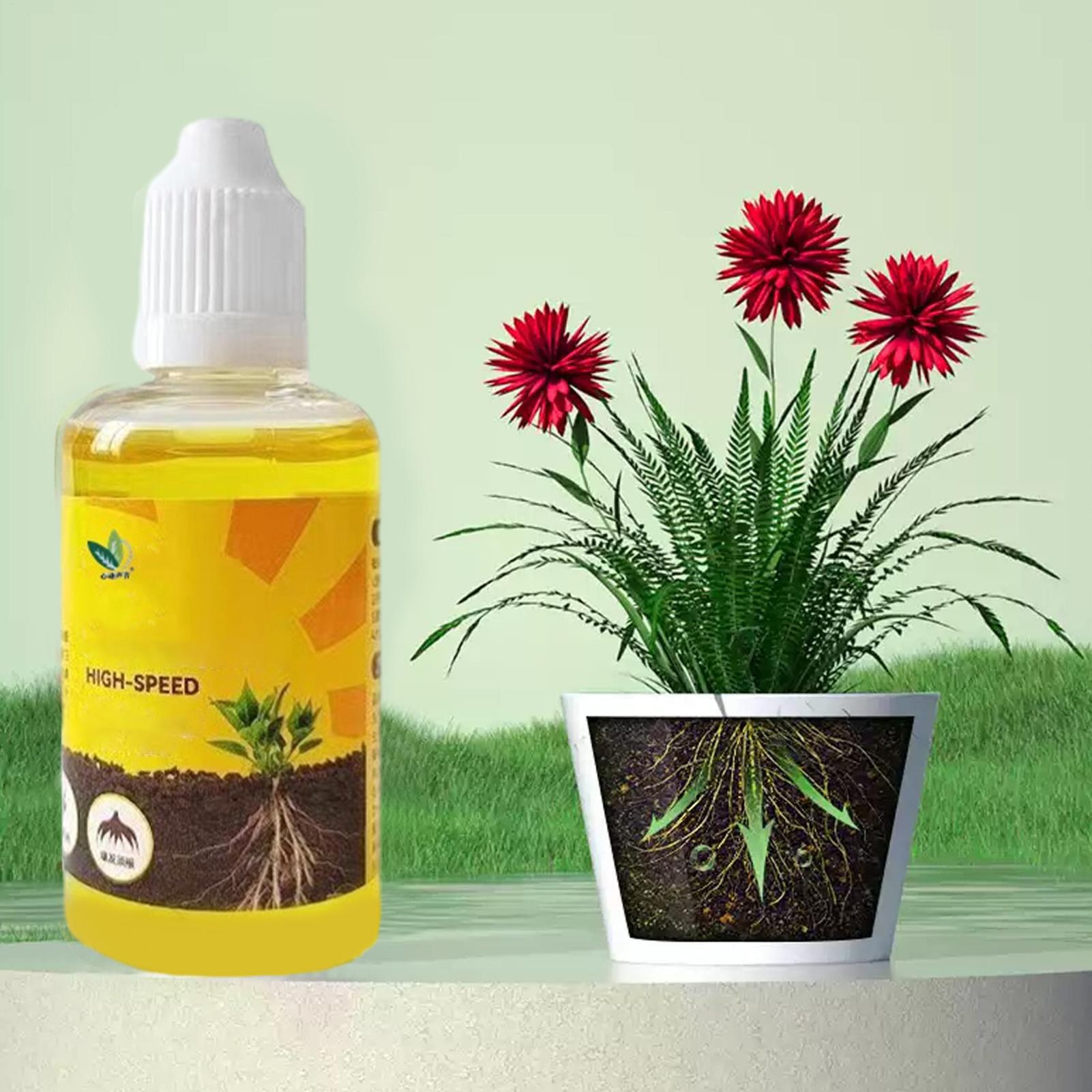 Жидкий стимулятор укоренения р – обзор и цена Root Stimulator Liquid